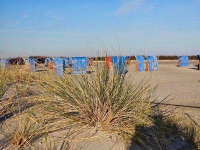 Foto 23 Ferienhaus Ostfriesland Dornum & Umgebung Ferienhaus Deichkrone (Objekt 91841) Nordsee