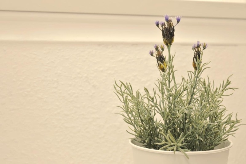 Foto 7 Ferienwohnung Ostfriesland Friesland Wohnung 13-5 (Objekt 85232) suchen