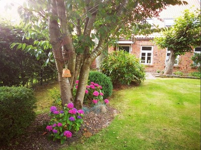 Foto 14 Ferienwohnung Ostfriesland Dornum & Umgebung Ferienwohnung Nordnest (Objekt 85244) Urlaub