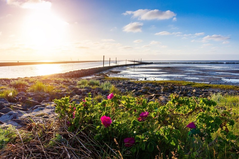 Foto 21 Ferienhaus Ostfriesland Neuharlingersiel & Umgebung Ferienhaus Nordstern (Objekt 85179) buchen