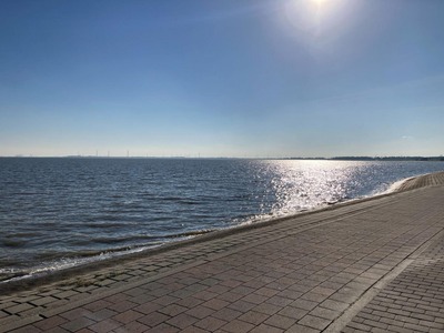 Foto 12 Ferienwohnung Ostfriesland Friesland Wohnung 18 (Objekt 95678) suchen