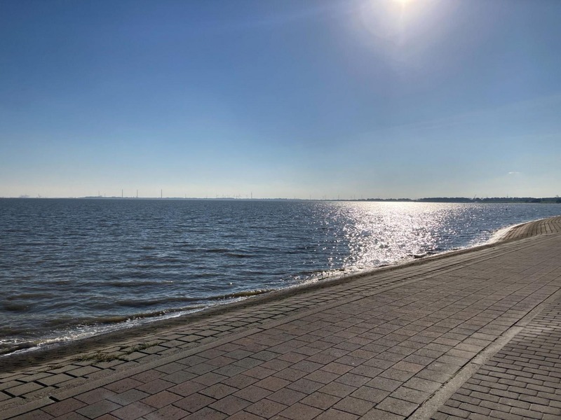 Foto 12 Ferienwohnung Ostfriesland Friesland Wohnung 18 (Objekt 95678) suchen