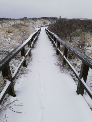 Foto 50 Ferienwohnung Ostfriesland Juist Appartement 107 (Objekt 92344) Reise