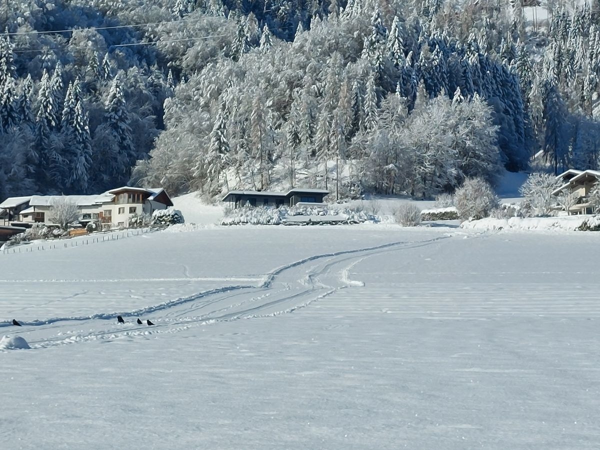 Hohlbichlgut – Bild 3