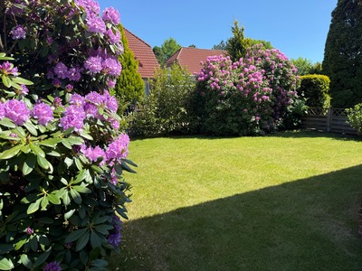 Foto 5 Ferienhaus Ostfriesland Norddeich & Umgebung Ferienhaus Seerrobbe (Objekt 100985) Reise
