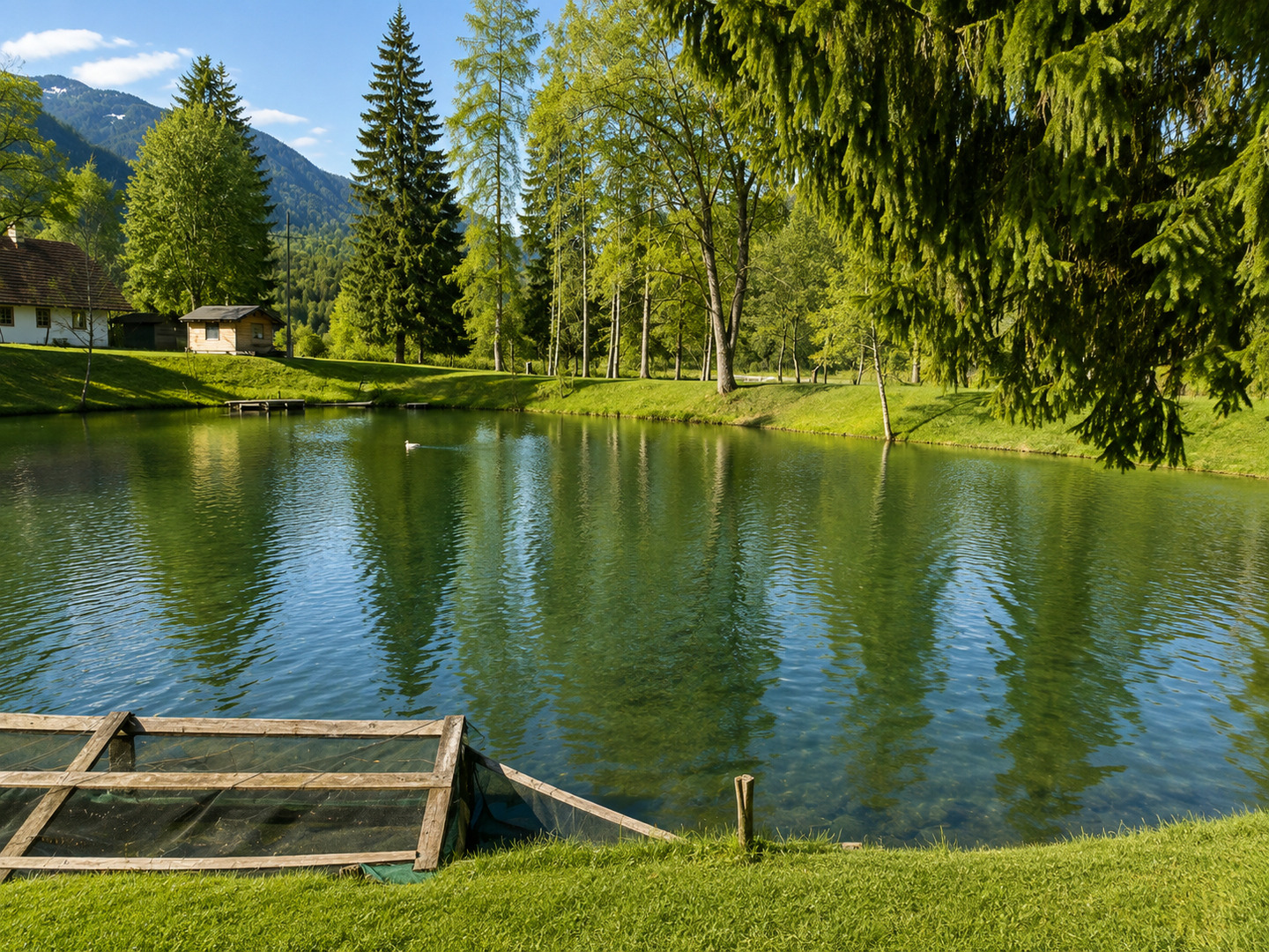 Ferienwohnung in Südkärnten – Bergblick, Fischteich & Naturidylle – Bild 3