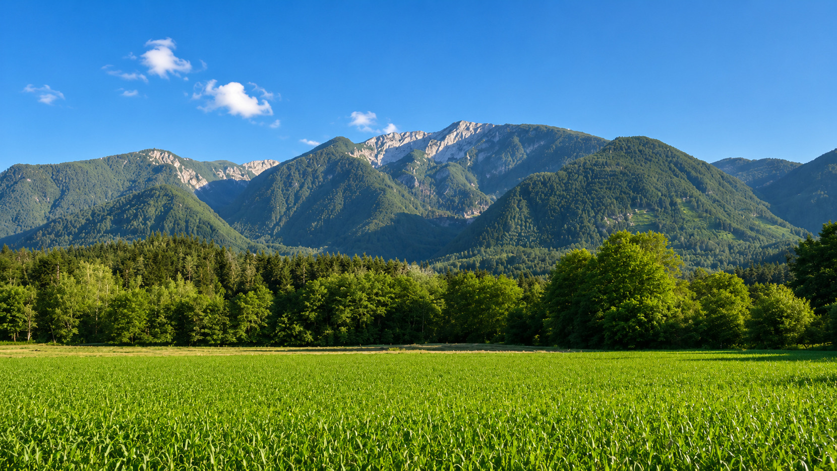 Ferienwohnung in Südkärnten – Bergblick, Fischteich & Naturidylle – Bild 21