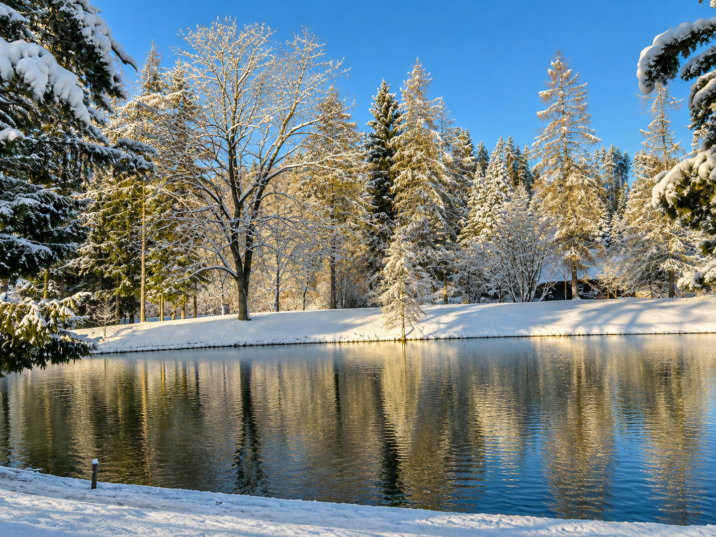 Ferienwohnung in Südkärnten – Bergblick, Fischteich & Naturidylle – Bild 23