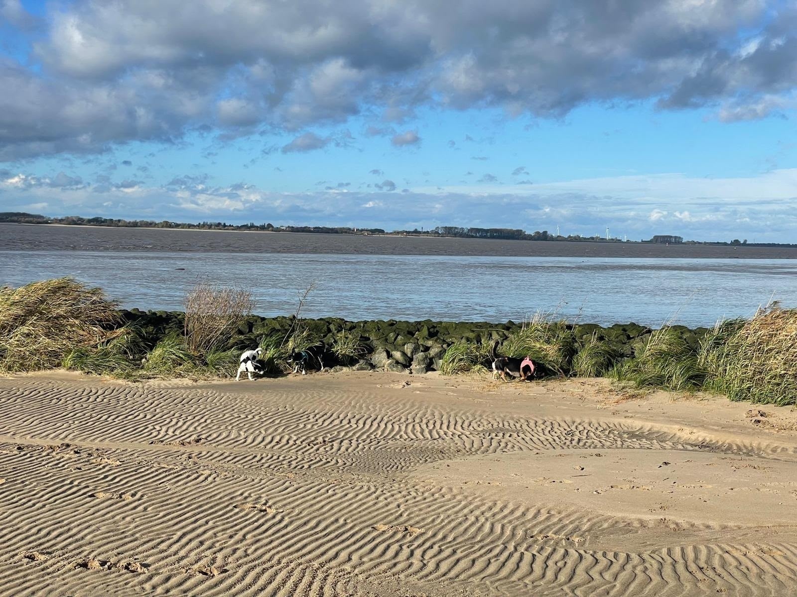 Ferienhaus ELBNEST direkt am Elbstrand, ideale Nähe zur Weltstadt Hamburg – Bild 23