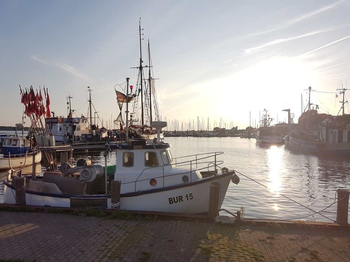 Fischkutter im Hafen Burgstaaken