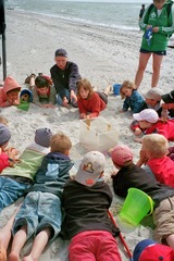 Strandentdeckungstour mit Seegrasworkshop