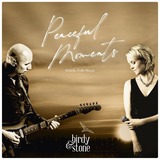 Konzert mit "Birdy & Stone"