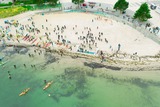 Lighthouse Swim