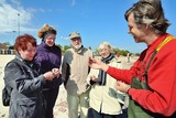 Ostsee erleben