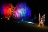 Lichtermeer im Kurpark