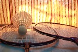 Speedminton / Badminton