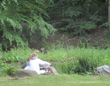 Natur-Collage und Landart - Kunst in der Natur und mit der Natur