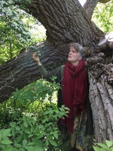 M&auml;rchenhaftes Bratapfelessen