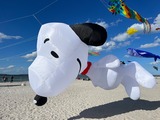 "Kite-Festival " Himmel & Meer"