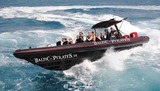 800 PS  Lighthouse-Tour mit dem Speedboot