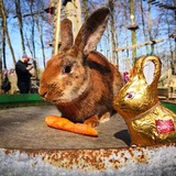 Ostereiersuche an der Ostsee