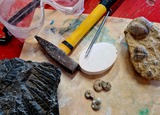 Fossilienwerkstatt