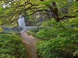 Der Brekendorfer Wald, das Herz der Hüttener Berge