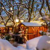 Stadtführung im Advent