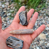 Geologische Wanderung