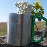 Die Innenstadt lebt - Pflanzenwelt in Heiligenhafen