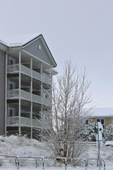 Christmas Tree Lighting