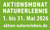 Wildkr&auml;uter: Die erste Ernte