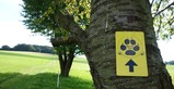Naturerlebnisführung "Spur der Natur"